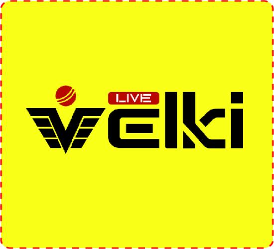 Velki B2B  সম্পূর্ণ ওয়েবসাইট ডেভেলপমেন্ট