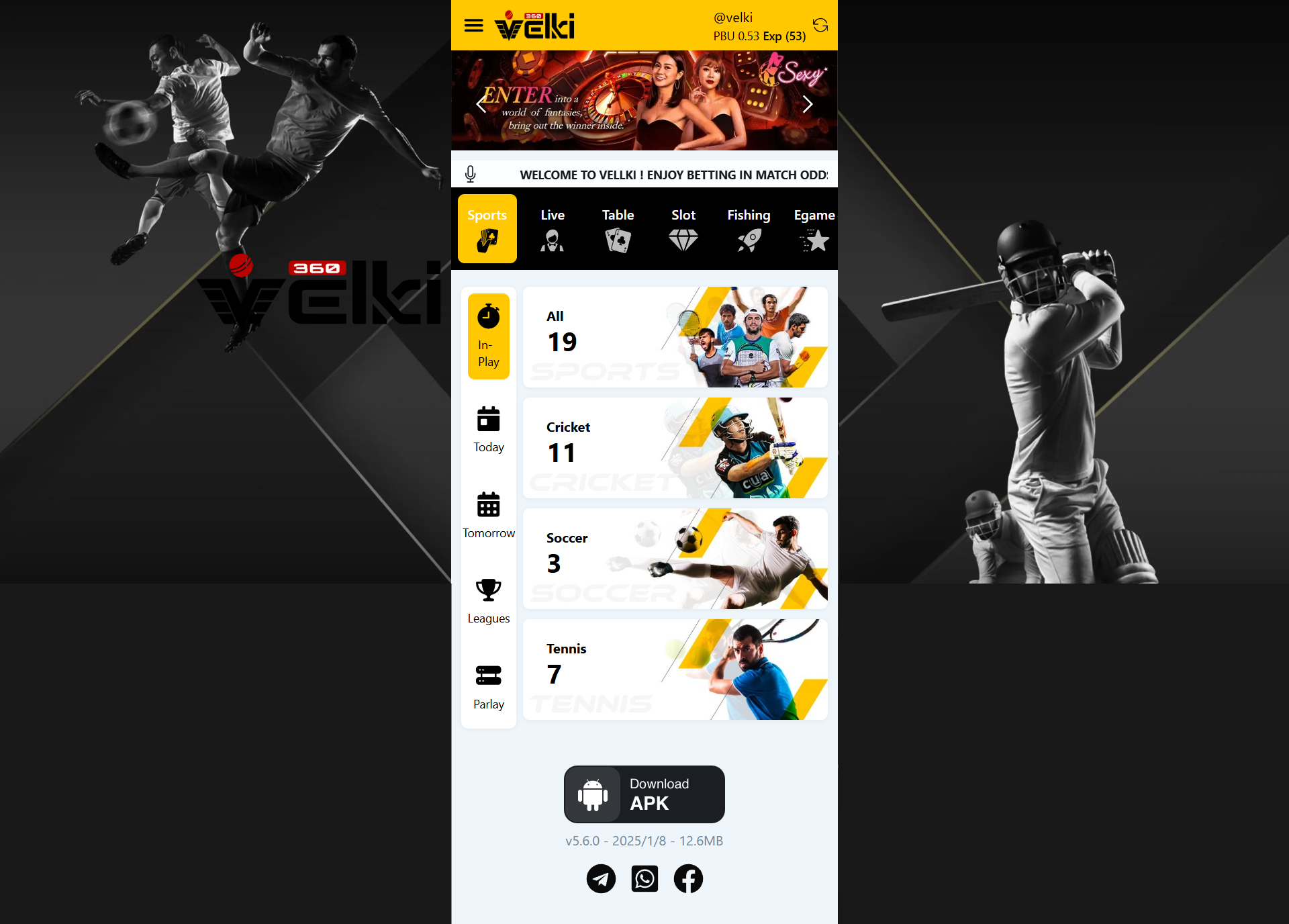 Website Preview